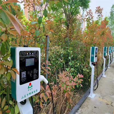 ���׮����